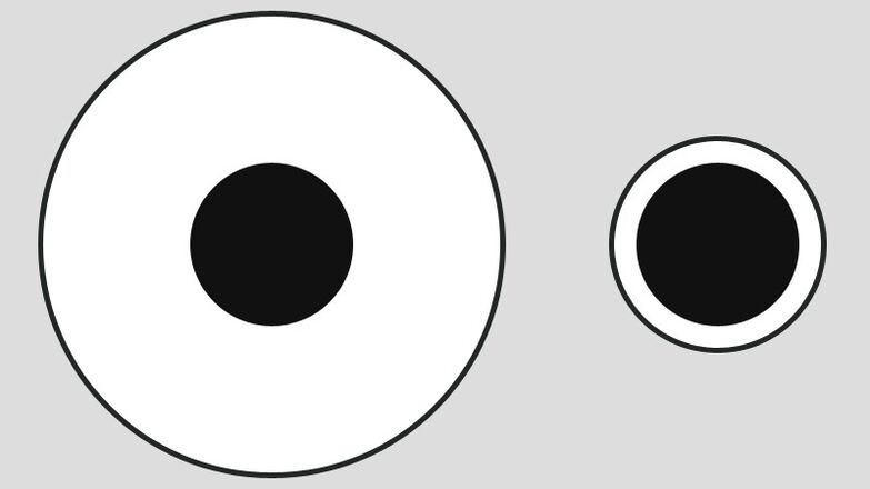 Delbeufs Illusion unterschiedliche Wahrnehmung von Portionsgrößen auf großen und kleinen Tellern
