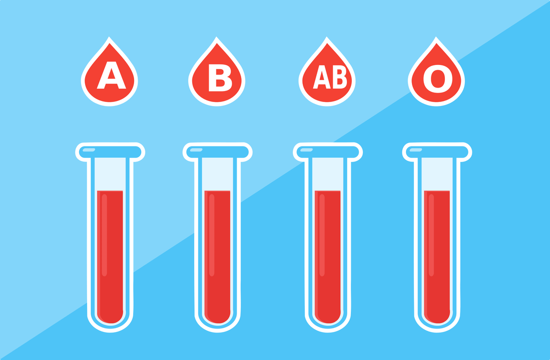 Es gibt 4 Blutgruppen A, B, AB, O
